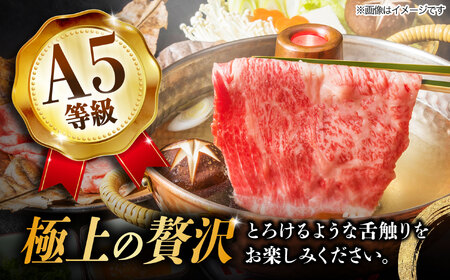 【1月発送】【飛騨牛 しゃぶしゃぶ用】 A5等級 ロース / 肩ロース 1kg 和牛 ブランド牛 国産 牛肉 多治見市 / 渡辺精肉店 [TAZ011-1]