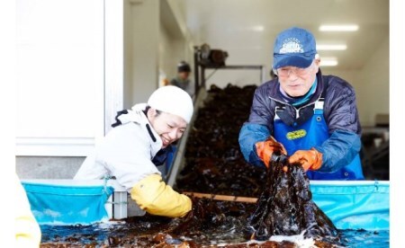 海藻 三陸産塩蔵わかめ＆こんぶセット 300g×各1袋 肉厚 海藻