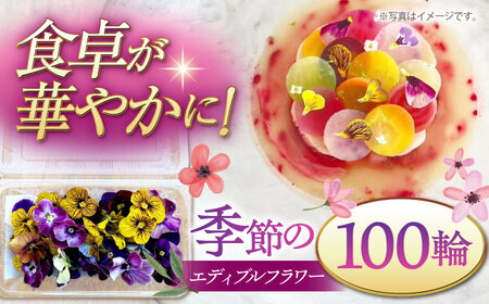 季節のエディブルフラワー100輪おまかせ  桂川町/NOGAMI　FARM[ADAU002] 9000 9000円　食用 花 食用花 エディブルフラワー 盛り付け カフェ