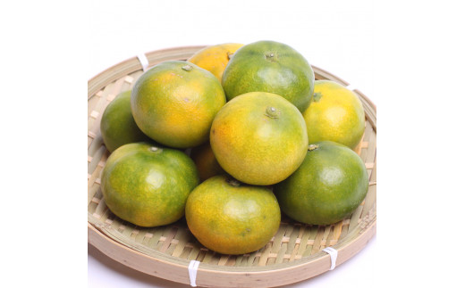 ＜9月より発送＞プレミアム有田みかん1kg+250g（傷み補償分）10月より発送(ゆら早生)【YN26・ゆら早生】※北海道・沖縄・離島への配送不可【ikd170A】