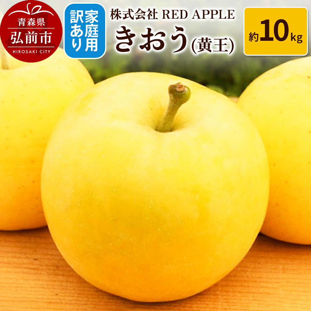 【ふるさと納税】りんご【訳あり】家庭用 きおう（黄王）約10kg