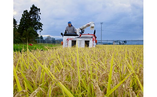 【先行予約】令和7年産 よっしーの「つや姫」さまeco (精米）5kg 米 お米 おこめ 山形県 新庄市 F3S-2494