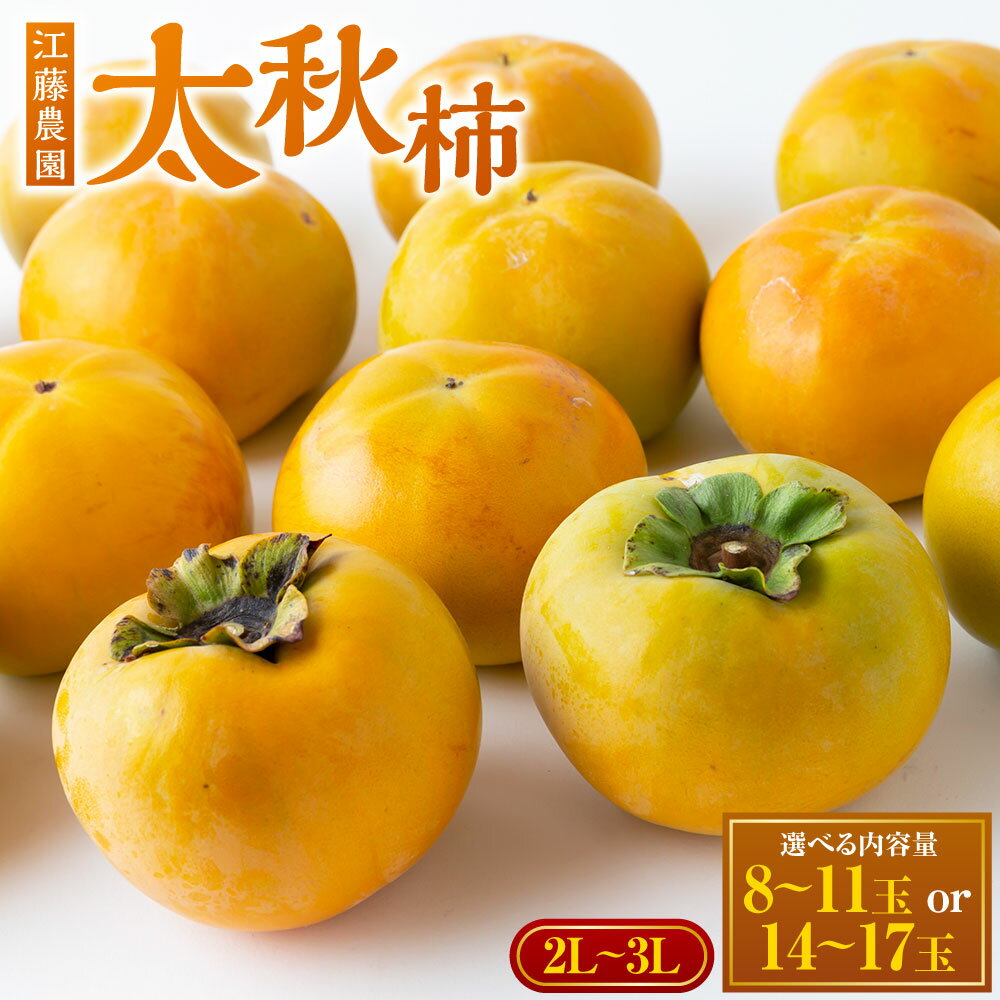 【ふるさと納税】 【先行予約】江藤農園 太秋柿 (2Lから3L) 8玉から11玉・14玉から17玉 (約5kg) 2025年10月中旬から11月上旬 出荷 かき 柿 カキ フルーツ 果実 果物 常温 送料無料 福岡県 うきは市予定