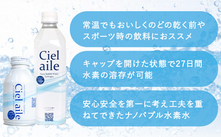 【6ヶ月定期便】ナノバブル水素水 ペットボトル(約500ml)×30本 