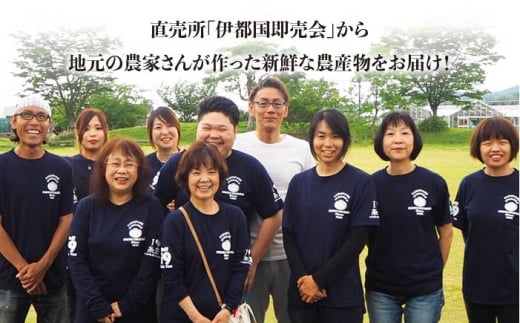【 全12回 定期便 】 福岡県 糸島産 旬 の 野菜 盛り合わせ セット 《糸島》【株式会社フロンティア・アドバンス】[AWC009]