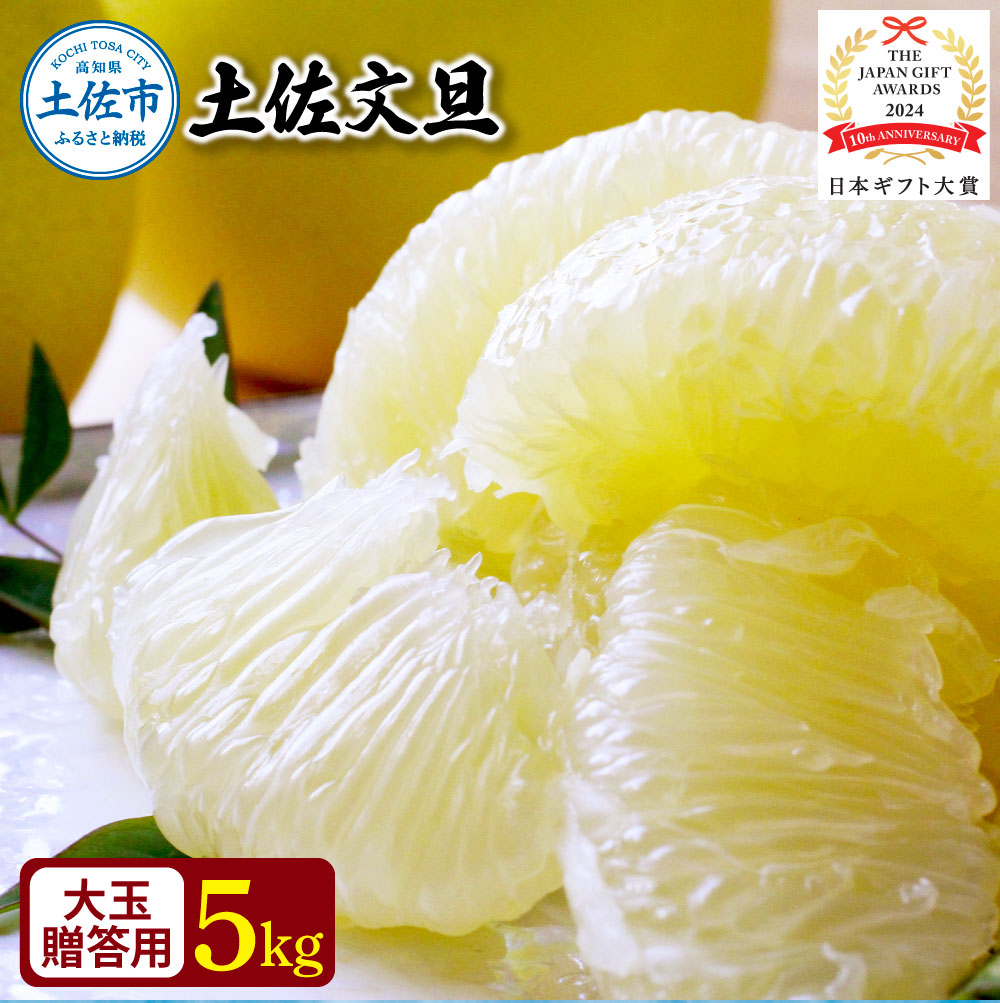 【日本ギフト大賞2024受賞】園主こだわり土佐文旦【化粧箱贈答用：大玉5kg】（3L～2L） 2026年1月下旬より順次発送 やの一果彩