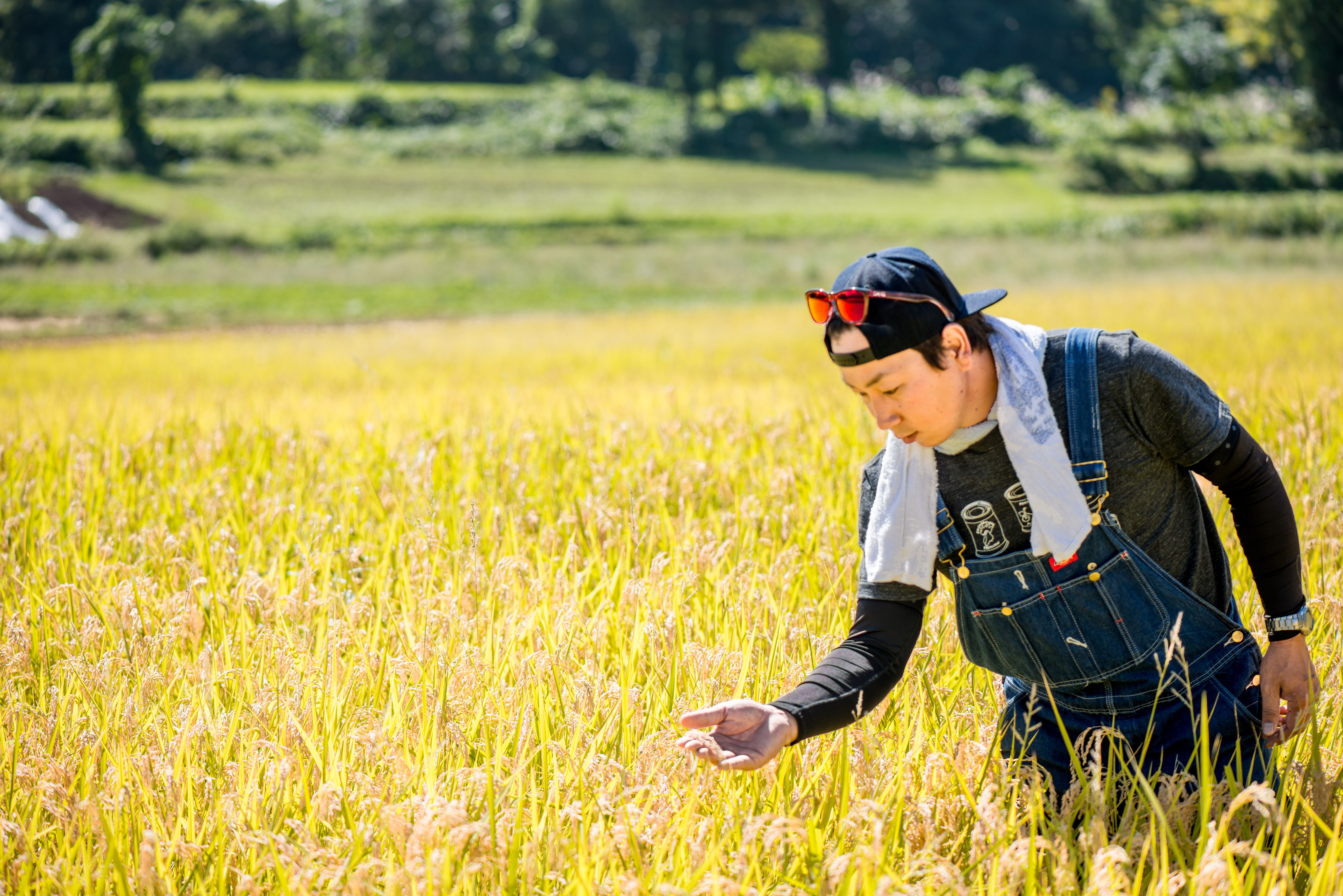 【令和6年産 新米予約】 極上のコシヒカリ「708米（なおやまい） 【蛍】」定期便5ｋｇ×9回 (6-26)