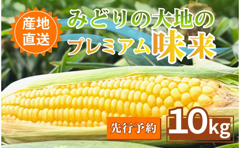 【先行予約】とうもろこし プレミアム味来 みどりの大地 10kg（16～24本入り） 茹でとうもろこし スイートコーン ミラクルコーン 甘いコーン 野菜 長野県 信州 上田