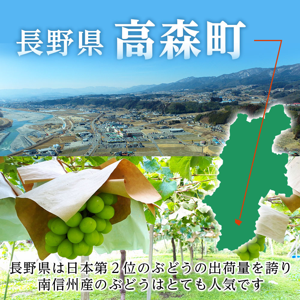 【産地厳選!】長野県産・クイーンルージュ（約2kg）秀品 ＜2026年10月中旬から発送＞ 信州 南信州 高森町 産地直送 果物 くだもの ぶどう 旬のぶどう 山下屋荘介