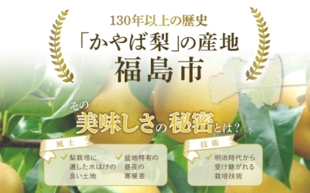 No.1724梨　なし　南水 約3kg　【2026年発送】