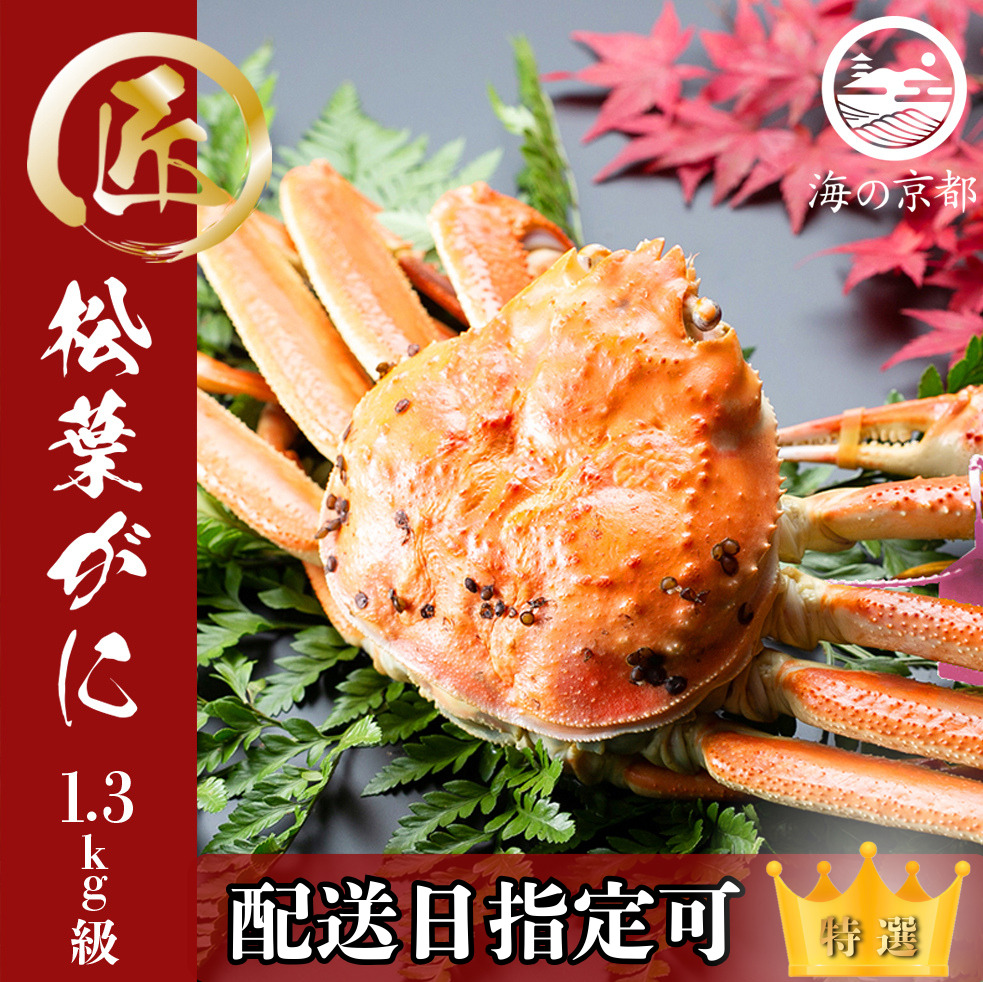 【配送日指定可】茹で松葉蟹 最上級 1杯 1,300g級 蟹 カニ かに 松葉蟹 松葉ガニ ズワイガニ ボイル myz05 myz11 myz16