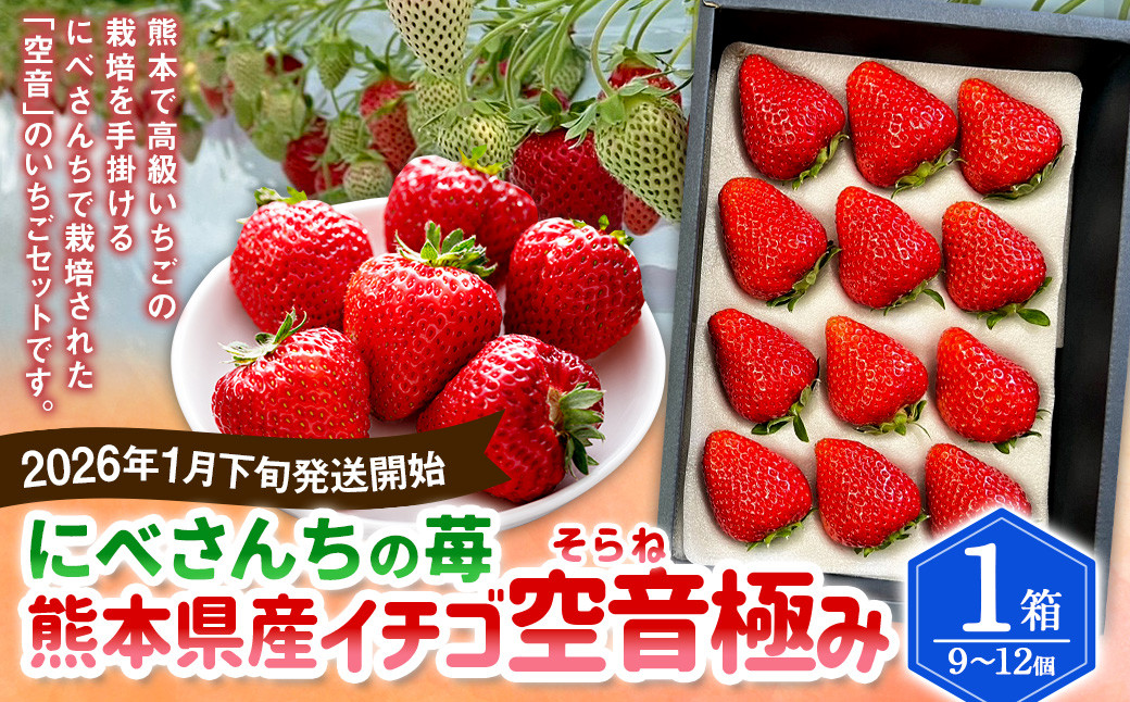 
            にべさんちの苺 熊本県産イチゴ空音（そらね）極み【2026年1月下旬発送開始】 苺 いちご フルーツ 果物 熊本
          