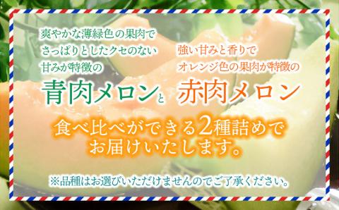 【令和6年産先行予約】 庄内砂丘青肉・赤肉メロン食べくらべ　 各1玉 (計2玉) 約2.5kg 山形県鶴岡市産　株式会社 元青果