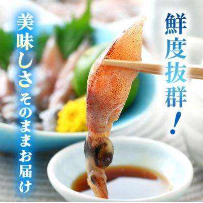 ふるさと納税 越前町 【のし付き】【越前海岸・美味直送シリーズ】ホタルイカ(刺身・しゃぶしゃぶ用) 約420g |  | 01