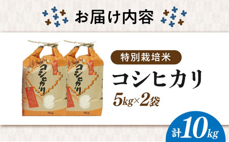 【令和7年産新米】【特別栽培米】コシヒカリ 10kg[AQCQ013]