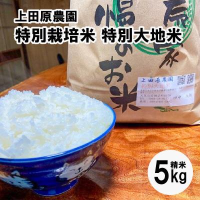 ふるさと納税 天草市 【令和8年産】先行受付 精米 5kg_S051-004A