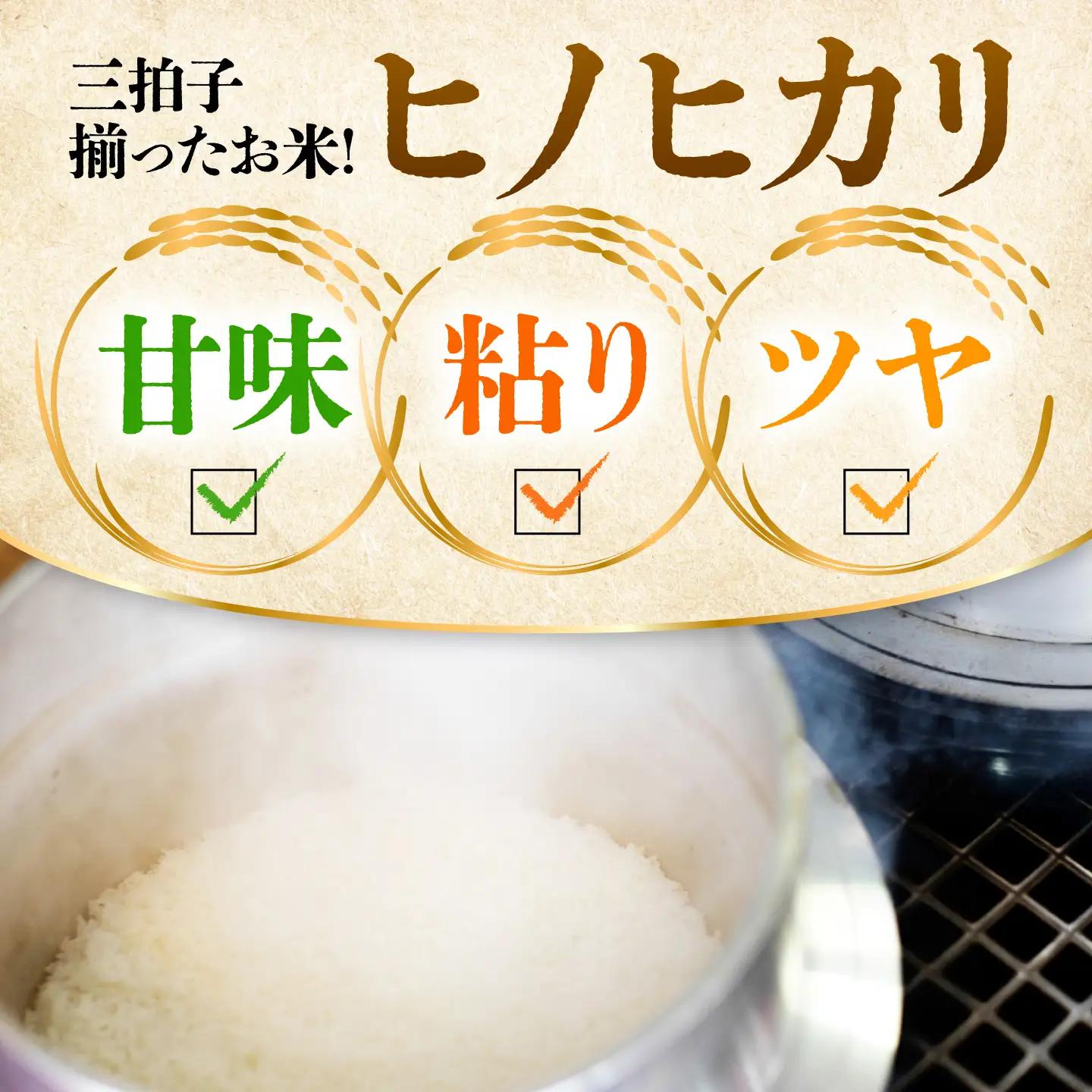 【3回定期便】白米 5kg[BRAW063] 白米
