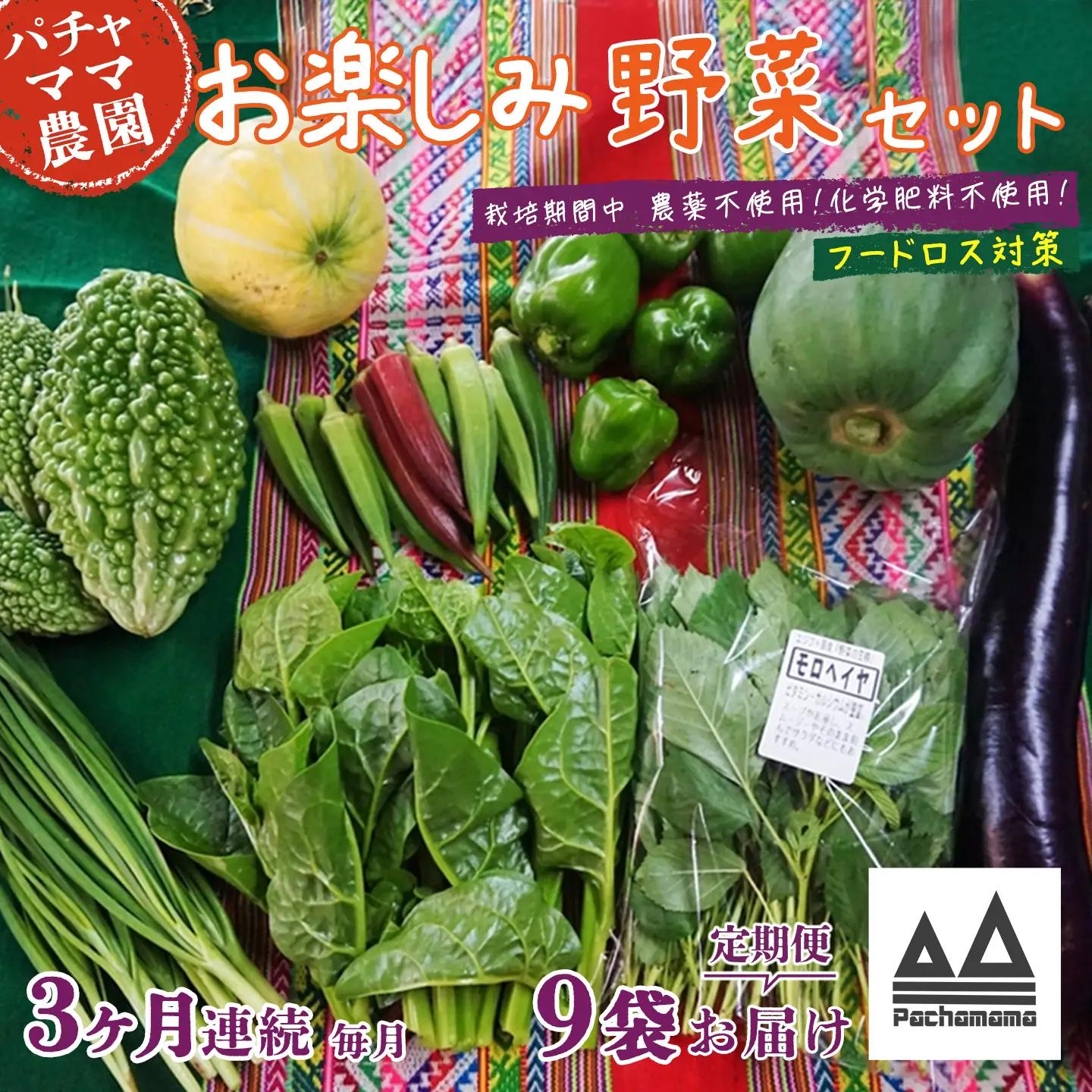 野菜 9袋 訳あり 3ヶ月 定期便 詰め合わせ お任せ 旬 野菜