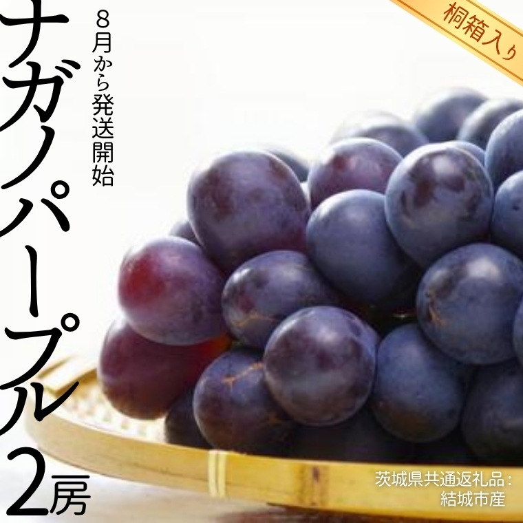 【 桐箱入り 】 ナガノパープル 2房 【2026年8月から発送開始】（茨城県共通返礼品 [ぶどう]：結城市産） 果物 フルーツ マスカット ぶどう ギフト 贈答 プレゼント 桐箱 [BI339-NT]