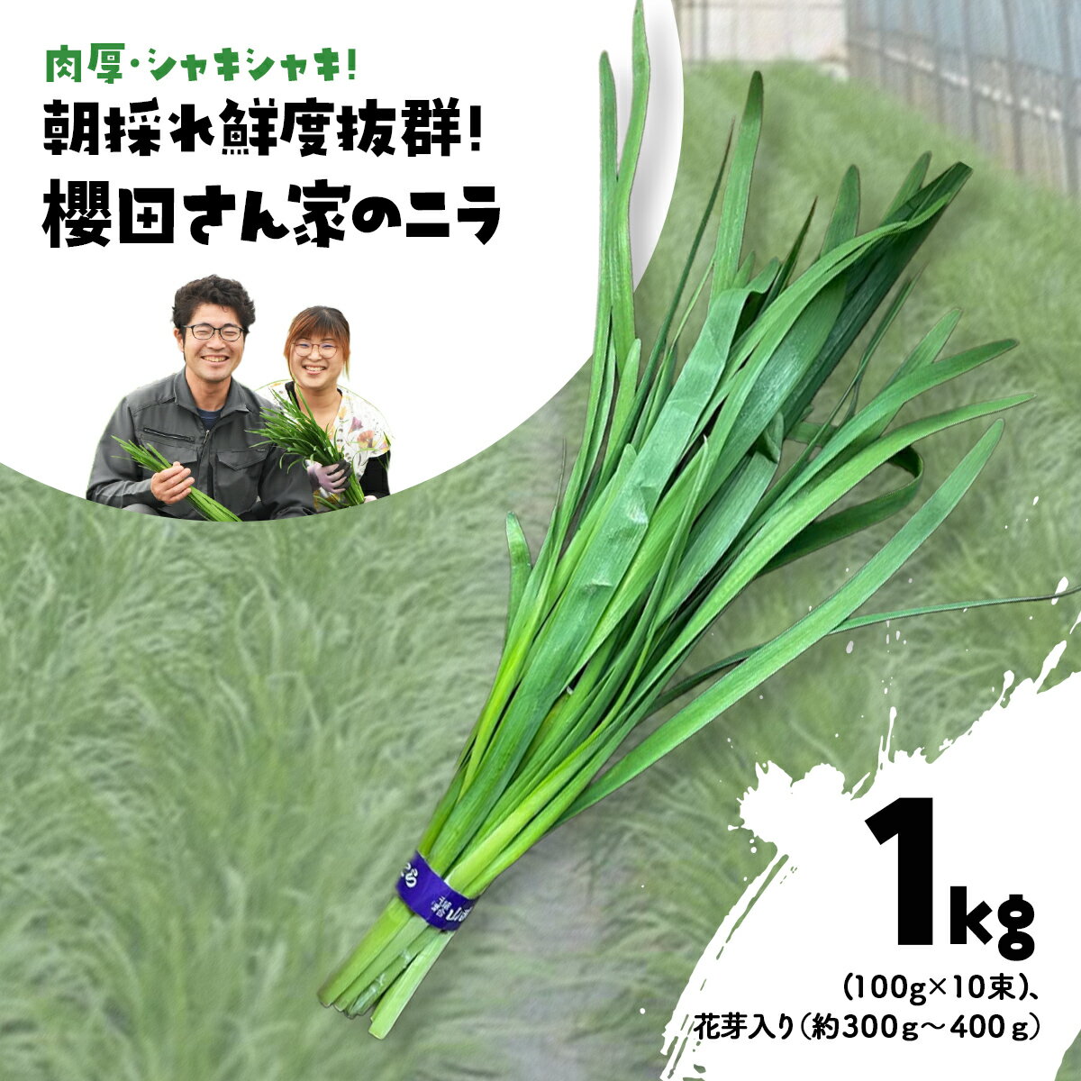 【ふるさと納税】【先行予約】【2026年7月から発送】肉厚・シャキシャキ! 朝採れ鮮度抜群! 櫻田さん家のニラ 2kg(100g×10束×2セット) ふるさと納税 にら ニラ 朝採れ 新鮮 肉厚 シャキシャキ 農家直送 鮮度抜群 千葉県 山武市 送料無料 SMCS002