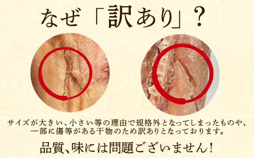 【2026年4月下旬発送】訳あり 干物・切身 セット 3kg お試し 規格外 傷 不揃い 詰め合わせ おまかせ 干物 魚 ホッケ カレイ イワシ