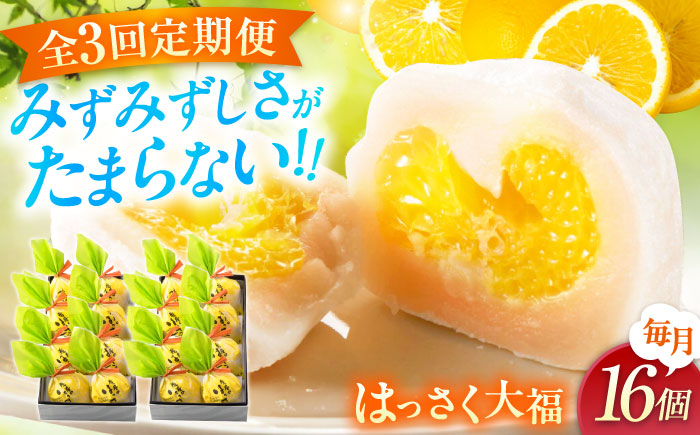 
            【全3回定期便】お菓子 はっさく大福8個入×2  お菓子 大福 八朔 柑橘 みかん オレンジ 餅 ギフト お取り寄せ スイーツ フルーツ大福 ご当地 菓子 おかし デザート 食品 人気 おすすめ 果汁 広島県産 特産品 産地直送 お取り寄せ 贈り物 ギフト 贈答品 絶品 和菓子 定期便 国産 白あん 個包装 逸品 定期便 福山スイーツ  広島県福山市/株式会社虎屋本舗[BADH026]
          