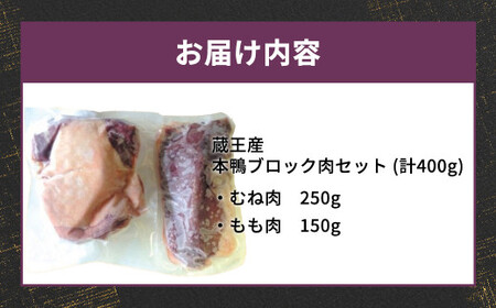 蔵王産　鴨むね肉250gもも肉150gブロック肉セット/計400g