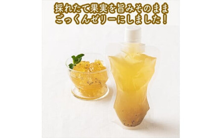 スイスで加工品を学んだ農家が作った『手づくりごっくんゼリー』 おまかせ20本セット 130ml みかん 甘夏 キウイ【 家庭用 自宅用 贈答品 贈答用 ギフト お取り寄せ お中元 お歳暮 贈り物 お祝