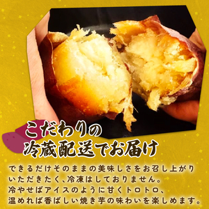 焼き芋 【2027年1月中旬頃より順次発送】さつまいも 紅はるか tsuguchan009