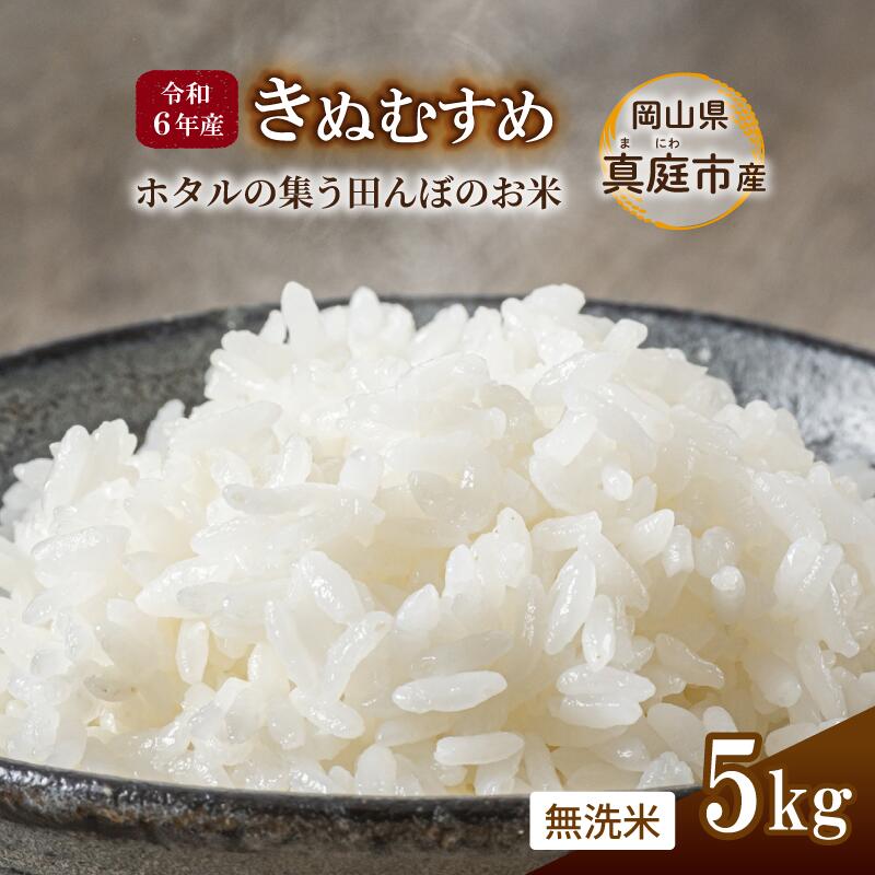 【ふるさと納税】令和6年産 きぬむすめ 無洗米 5kg 岡山県真庭市産 ／ 国産 お米 ブランド米【takenaka003】