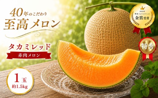 タカミレッド 1玉(約1.5kg) | 2027年 先行予約 メロン 完熟 果物 フルーツ ギフト  デザート  栃木県 真岡市 送料無料