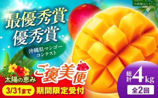 マンゴー 【全2回定期便】 太陽の恵み マンゴーご褒美便 (総計4kg) 仲村農園 [BCZZ053] 2026 定期便 全2回 アップルマンゴー あっぷるまんごー マンゴー フルーツ ふるーつ まんごー Mango mango 訳アリ わけあり ワケあり ワケアリ 沖縄県産 芒果 お取り寄せ 家庭用 南国 国産 デザート 産地直送 直送 季節限定 アップル マンゴー 送料無料 沖縄 沖縄市