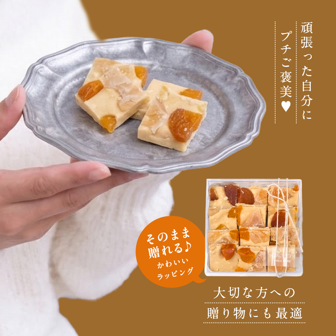 ショコラフリュイ トロピカル チョコレート チョコ スイー