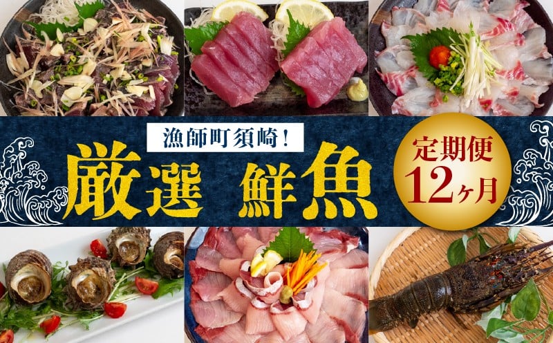 
            厳選!  12ヶ月 定期便 海鮮 定期便 美味しい お刺身 柵 節 選べる 大容量 小容量 全12回 12か月 12カ月 1年 コース 毎月お届け 冷蔵 冷凍 鮮魚 海鮮 下処理済 産地直送 新鮮 鰤 ブリ 鯛 真鯛 タイ かつおのタタキ 鰹 カツオ 鰹のたたき 高知県 須崎市 魚介類 定期便 刺身定期便 肉より魚
          