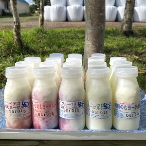 【大津牧場の搾りたてミルク使用】北海道産 のむヨーグルト 18本セット プレーン加糖 プレーン無糖 イチゴ ブルーベリー ビーツ ダイエット 産地直送 牛乳 ヨーグルト せたな町 ふるさと納税