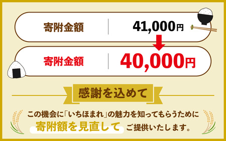 無洗米 令和7年産 福井県産いちほまれ 5kg 2袋 [C-014009] 【 無洗米 】