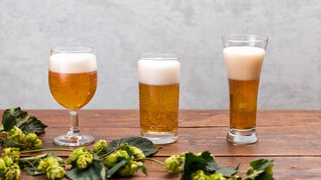 【 お中元 のし対応 】 群馬麦酒 3本 セット ビール 地ビール お酒 酒 クラフトビール 御中元 アルコール 瓶 飲み比べ 330ml 嬬恋高原ブルワリー 熨斗対応 [AA018tu]