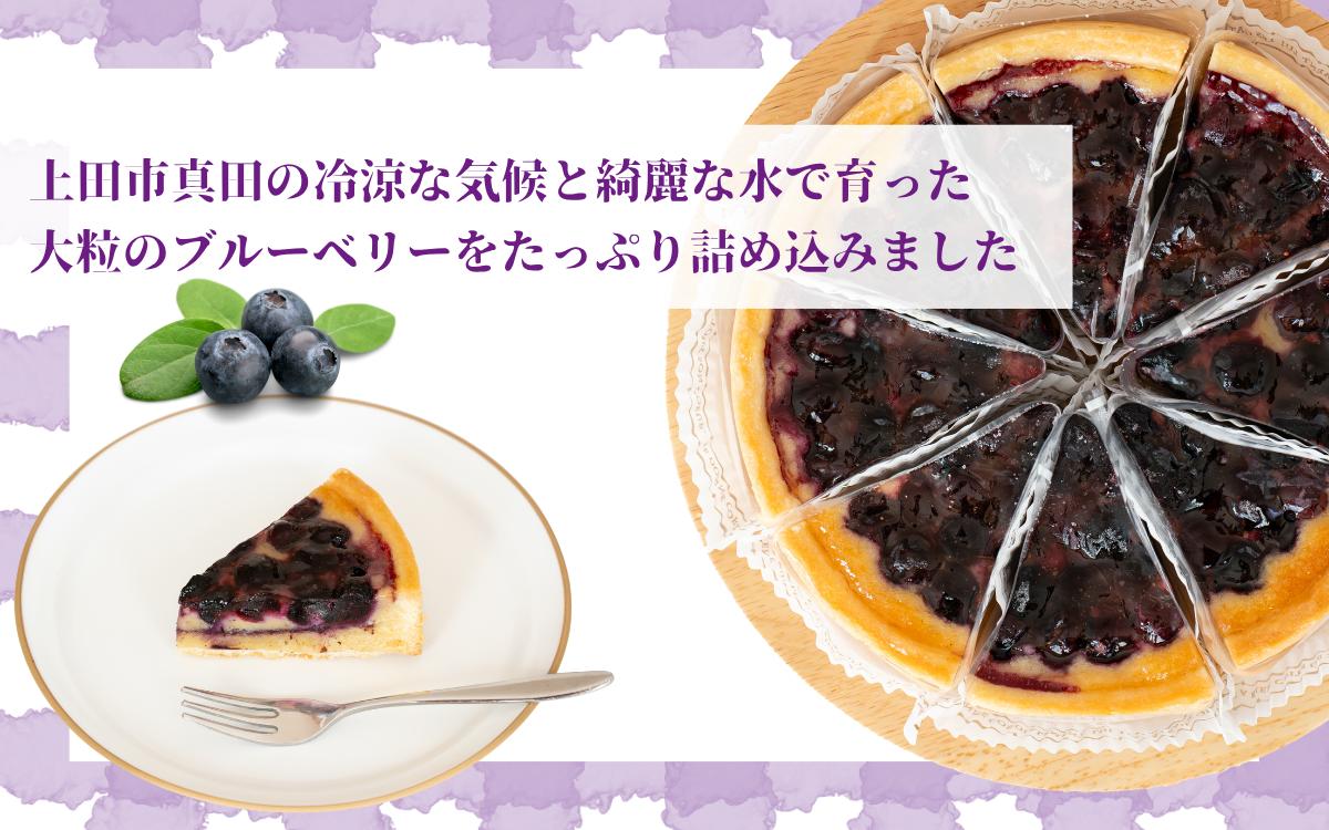 信州真田ブルーベリータルト 8ピース 小分け 信州産ブルーベリー　上田市 スイーツ お菓子 冷凍 記念日 おやつ デザート 洋菓子 焼き菓子 長野 信州