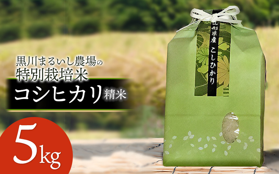 【令和7年産先行予約】 黒川まるいし農場の特別栽培米 コシヒカリ 5kg　山形県鶴岡市産　K-745