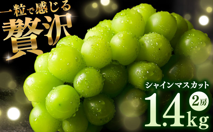 【2026年発送分 先行予約】シャインマスカット 計1.4kg（2房入り） / フルーツ / 佐賀県 / 石橋果樹園 [41AAAJ001]