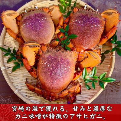 ふるさと納税 串間市 【先行予約】宮崎県串間産(大)アサヒガニ 約2kg(4〜5杯) |  | 01