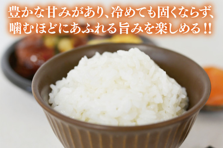 【全6回定期便】＜毎月＞ ★先行予約 10月より順次発送予定★ 山﨑観光農園のお米 とちぎの星 白米 5kg（合計 30kg）｜栃木県 益子町 ふるさと納税 お米 米 白米 精米 5kg 令和7年産 