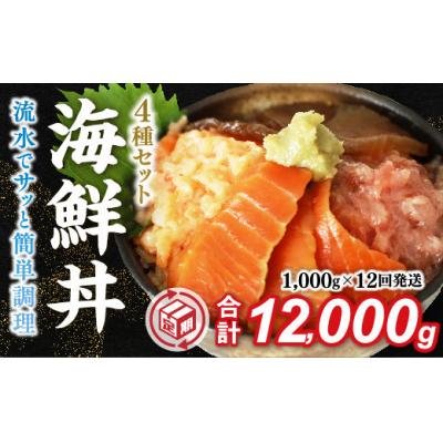 ふるさと納税 山口市 【定期便12回】海鮮丼4品人気セット　1kg(ネギトロ他3品) A076