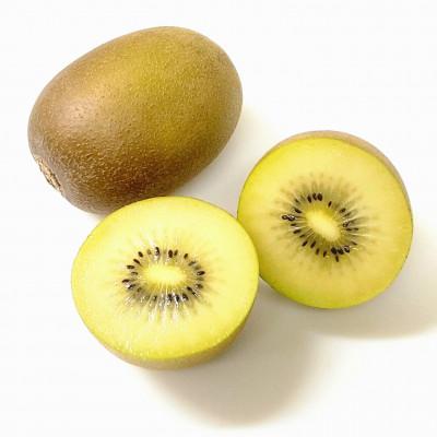 ふるさと納税 三豊市 さぬきゴールドキウイ「黄様」超大玉6個入り×2箱