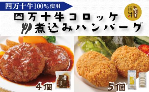 四万十牛100%！煮込みハンバーグ・四万十牛コロッケセット （ハンバーグ4個・コロッケ5個 ）R5-017