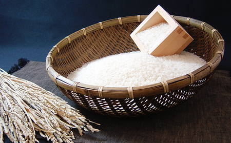 【令和５年産米】長野県産 風さやか 5kg×3袋