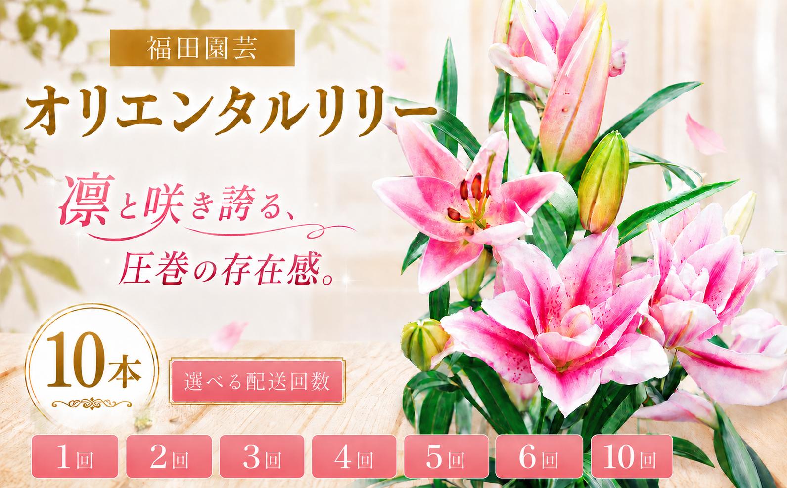 
                  ユリ オリエンタルリリー 10本セット 選べる 配送回数 1回 2回 3回 4回 5回 6回 10回 花束 贈り物 ギフト プレゼント 誕生日 母の日 父の日 敬老の日 記念日 お祝い 結婚式 ウェディング ブーケ 華やか 大輪 香り 優雅 エレガント つぼみ ピンク 白 高級 切り花 福田園芸 花好き こだわり 栽培 メッセージカード ラッピング 安芸市 高知県
                