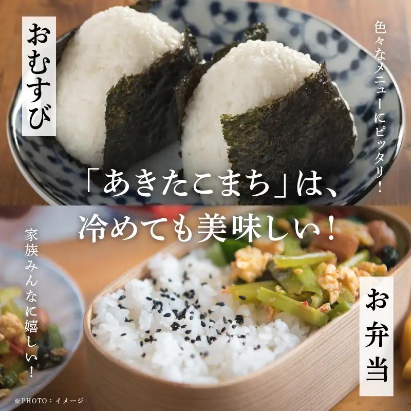 《先行予約》【6ヶ月定期便】令和8年産 新米秋田県産 あきたこまち（5kg×2）精米【鎌仁商店】