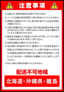 フルーツ定期便 桃 ぶどう シャインマスカット 梨 岡山のフルーツ 定期便6回コース 岡山のフルーツ 清水白桃 6玉 岡山の白桃 6玉 ニューピオーネ 1房 瀬戸ジャイアンツ 1房 シャインマスカット