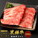 【ふるさと納税】 A4〜A5等級 焼肉用 カルビ 合計250g 九州産黒毛和牛 黒樺牛 牛肉 焼肉 焼き肉 和牛 牛 黒毛和牛 国産 冷凍 送料無料